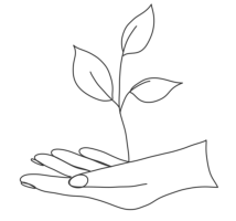 Unternehmensberatung, Seminare, Burnout, Stress, Businesscoaching